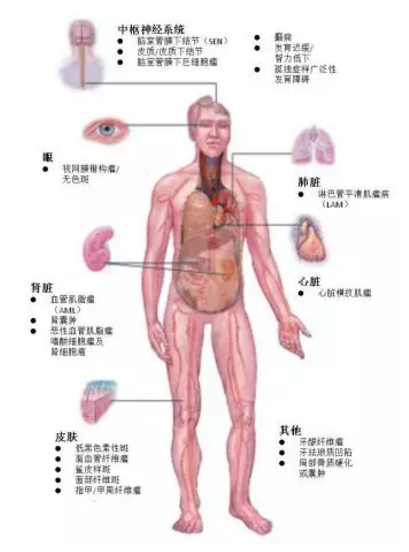 微信截图_20190517235316.png